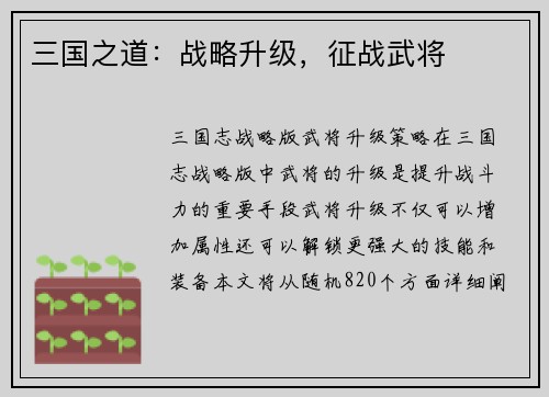 三国之道：战略升级，征战武将